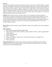 Duomenų bazės projektinis darbas 3 puslapis