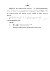 Gamybinės praktikos ataskaita „CAR PRO LT“ 2 puslapis