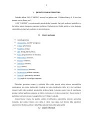 Gamybinės praktikos ataskaita „CAR PRO LT“ 3 puslapis