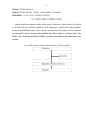 Gamybinės praktikos ataskaita „CAR PRO LT“ 4 puslapis