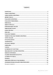 Foto studijos verslo planas 2 puslapis