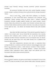 Foto studijos verslo planas 11 puslapis