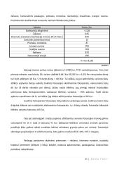 Foto studijos verslo planas 12 puslapis