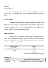 Foto studijos verslo planas 14 puslapis