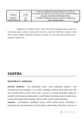 Foto studijos verslo planas 15 puslapis