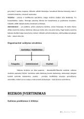 Foto studijos verslo planas 16 puslapis