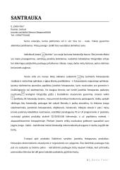 Foto studijos verslo planas 3 puslapis