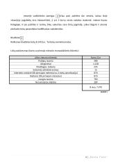 Foto studijos verslo planas 4 puslapis