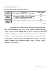 Foto studijos verslo planas 6 puslapis