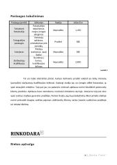 Foto studijos verslo planas 7 puslapis