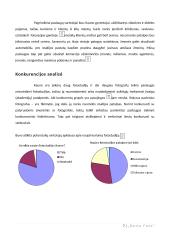 Foto studijos verslo planas 8 puslapis