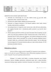 Foto studijos verslo planas 10 puslapis