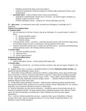 Mažasis ir didysis kraujotakos ratas 2 puslapis