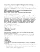 Mažasis ir didysis kraujotakos ratas 4 puslapis