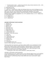 Mažasis ir didysis kraujotakos ratas 5 puslapis