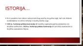 Tarptautinės oro teisės pagrindiniai principai 3 puslapis