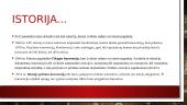Tarptautinės oro teisės pagrindiniai principai 4 puslapis