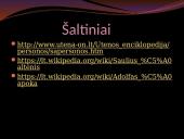 Lietuvos kultūra 11 puslapis