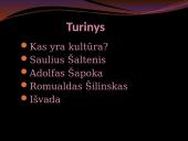 Lietuvos kultūra 3 puslapis