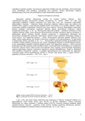 Regioninė plotika 4 puslapis