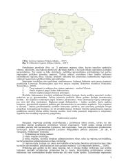 Regioninė plotika 5 puslapis