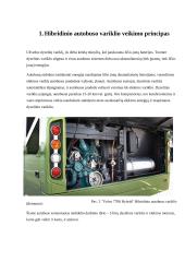 Hibridiniai autobusai 3 puslapis