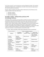 Transporto inžinerijos pobūdžio organizacijos valdymo praktikos analizė ir jos gerinimo rekomendacijos 5 puslapis
