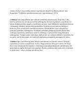 Transporto inžinerijos pobūdžio organizacijos valdymo praktikos analizė ir jos gerinimo rekomendacijos 7 puslapis