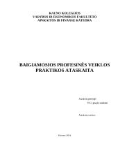 Baigiamosios profesinės veiklos praktikos ataskaita