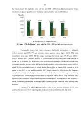 Baigiamosios profesinės veiklos praktikos ataskaita 13 puslapis