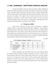 Baigiamosios profesinės veiklos praktikos ataskaita 19 puslapis