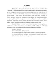 Baigiamosios profesinės veiklos praktikos ataskaita 4 puslapis