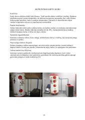 Vandens tiekimo ir šildymo automatika 19 puslapis