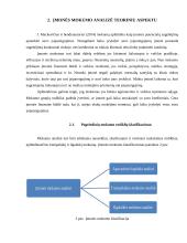 Mokumo auditas ir jo ypatumai 12 puslapis