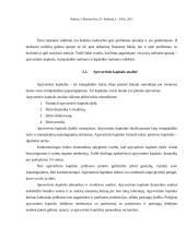 Mokumo auditas ir jo ypatumai 13 puslapis