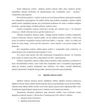 Mokumo auditas ir jo ypatumai 15 puslapis