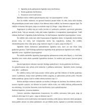 Mokumo auditas ir jo ypatumai 16 puslapis