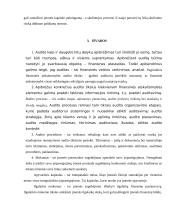 Mokumo auditas ir jo ypatumai 17 puslapis