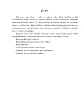 Mokumo auditas ir jo ypatumai 3 puslapis