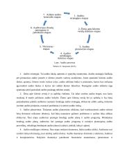 Mokumo auditas ir jo ypatumai 7 puslapis