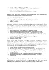 Ar Lietuvoje tinkamai įgyvendinamas socialinio teisingumo principas? 3 puslapis