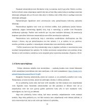 Ilgalaikio turto apskaita kursinis darbas 14 puslapis