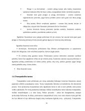 Ilgalaikio turto apskaita kursinis darbas 16 puslapis