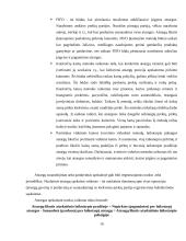 Ilgalaikio turto apskaita kursinis darbas 19 puslapis