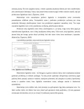 Ilgalaikio turto apskaita kursinis darbas 5 puslapis