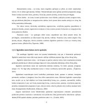 Ilgalaikio turto apskaita kursinis darbas 6 puslapis