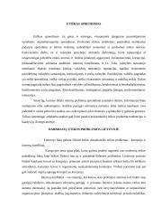 Profesinė etika situacijos analizė 3 puslapis