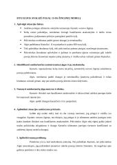 Profesinė etika situacijos analizė 6 puslapis