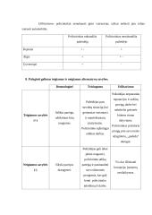 Profesinė etika situacijos analizė 8 puslapis