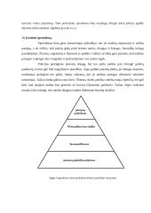 Profesinė etika situacijos analizė 10 puslapis